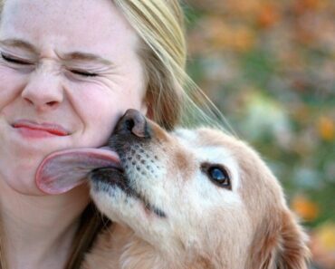 Experten warnen: So gefährlich ist ein Leckerbissen von Ihrem Hund!