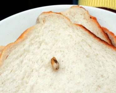 Menschen unter Schock, nachdem sie entdeckt haben, dass Brot “menschliche” Zutaten enthalten kann