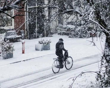 Alarm – Der kommende Winter wird der kälteste Winter seit 100 Jahren