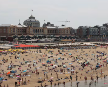 Einen Tag am Strand: Genuss ohne das große Preisetikett