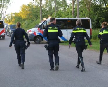 Erschreckend: Spuren bei der Suche nach den vermissten Kindern Jeffrey (10) und Emma (8) gefunden